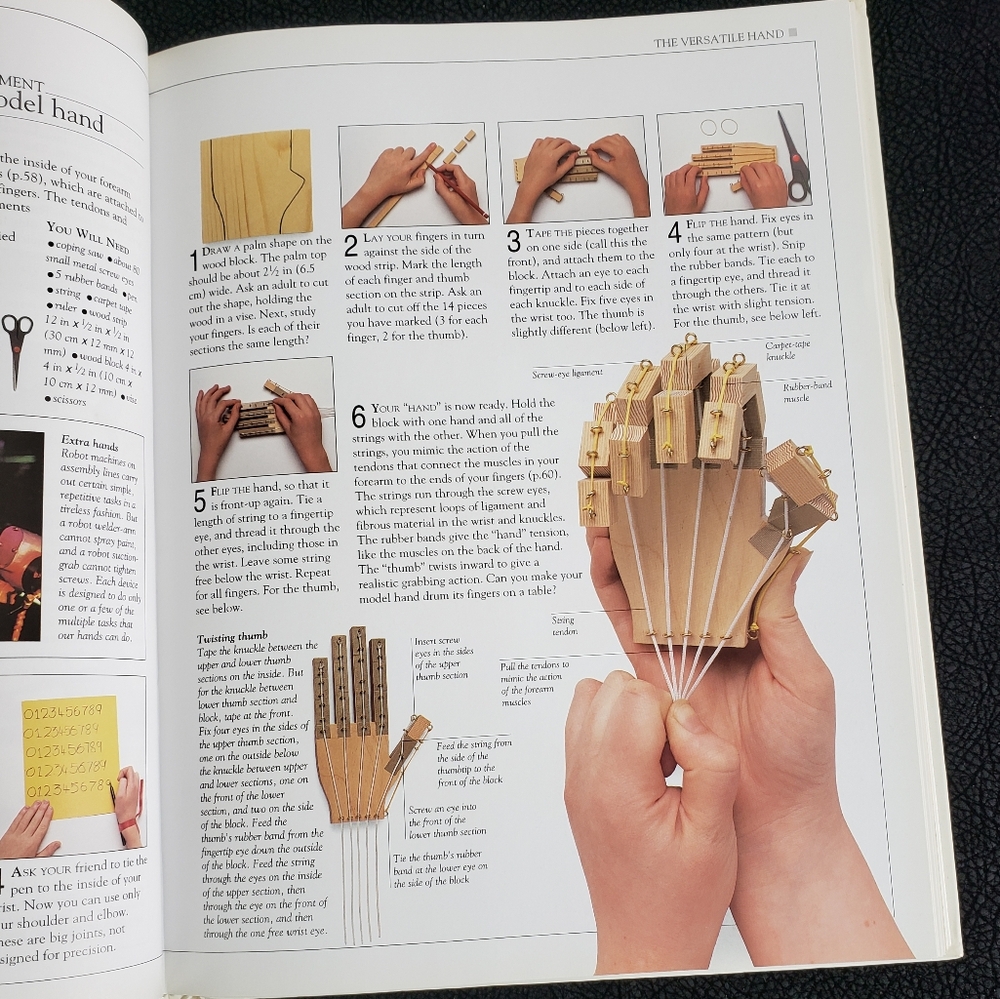 How the Body Works Book! - Picture 5 of 11